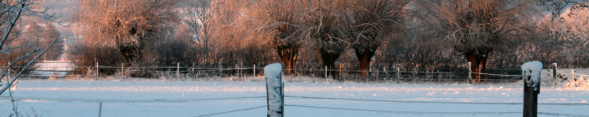 Weideland im Winter